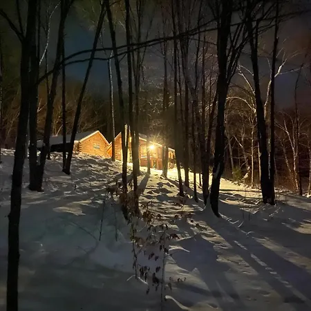 Cabin In The Woods